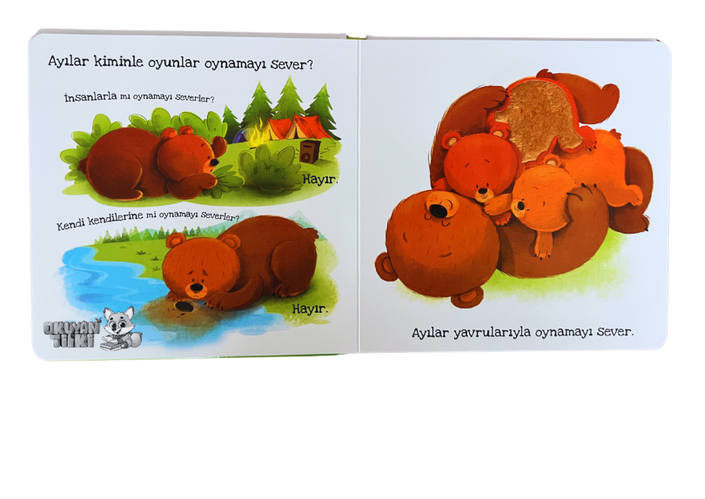 Ayılar Ne Sever? - Dokun Hisset Kitaplar (Fühlbuch, 2+ Yaş)