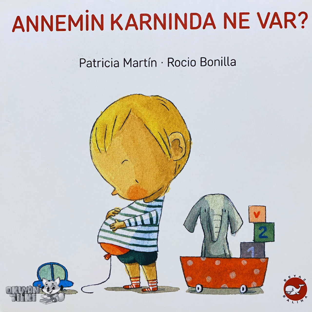 Annemin Karnında Ne Var? (Sessiz Kitap, 1+ Yaş, Bilderbuch)