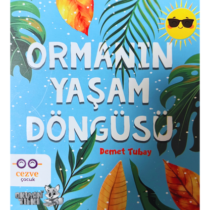 Ormanın Yaşam Döngüsü (3+ Yaş)