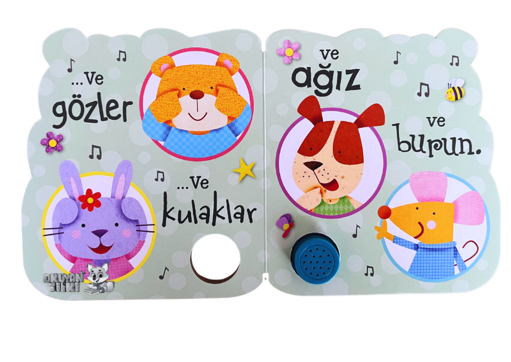 Baş, Omuzlar, Dizler ve Parmaklar - Sesli Kitaplar (Soundbuch)