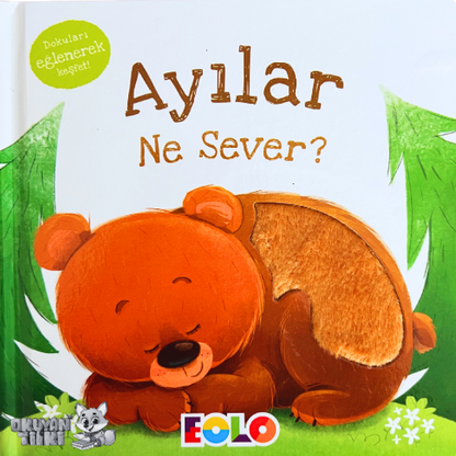 Ayılar Ne Sever? - Dokun Hisset Kitaplar (Fühlbuch, 2+ Yaş)