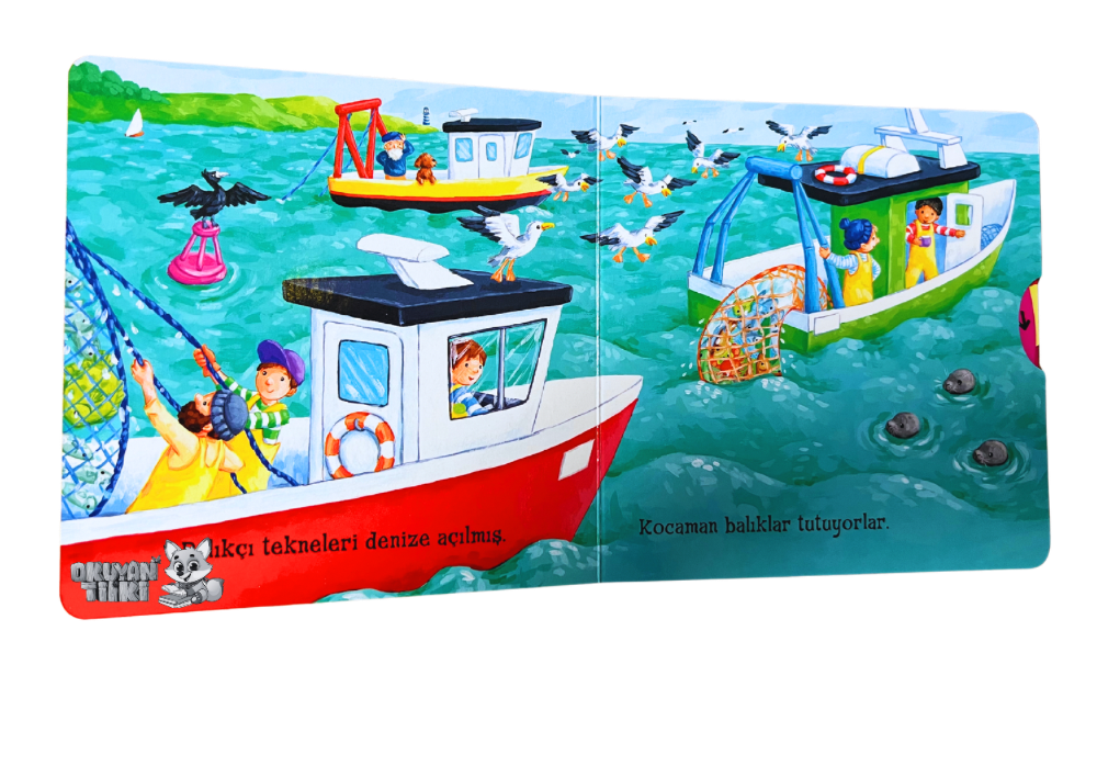 Hareketli Liman (2+ Yaş)