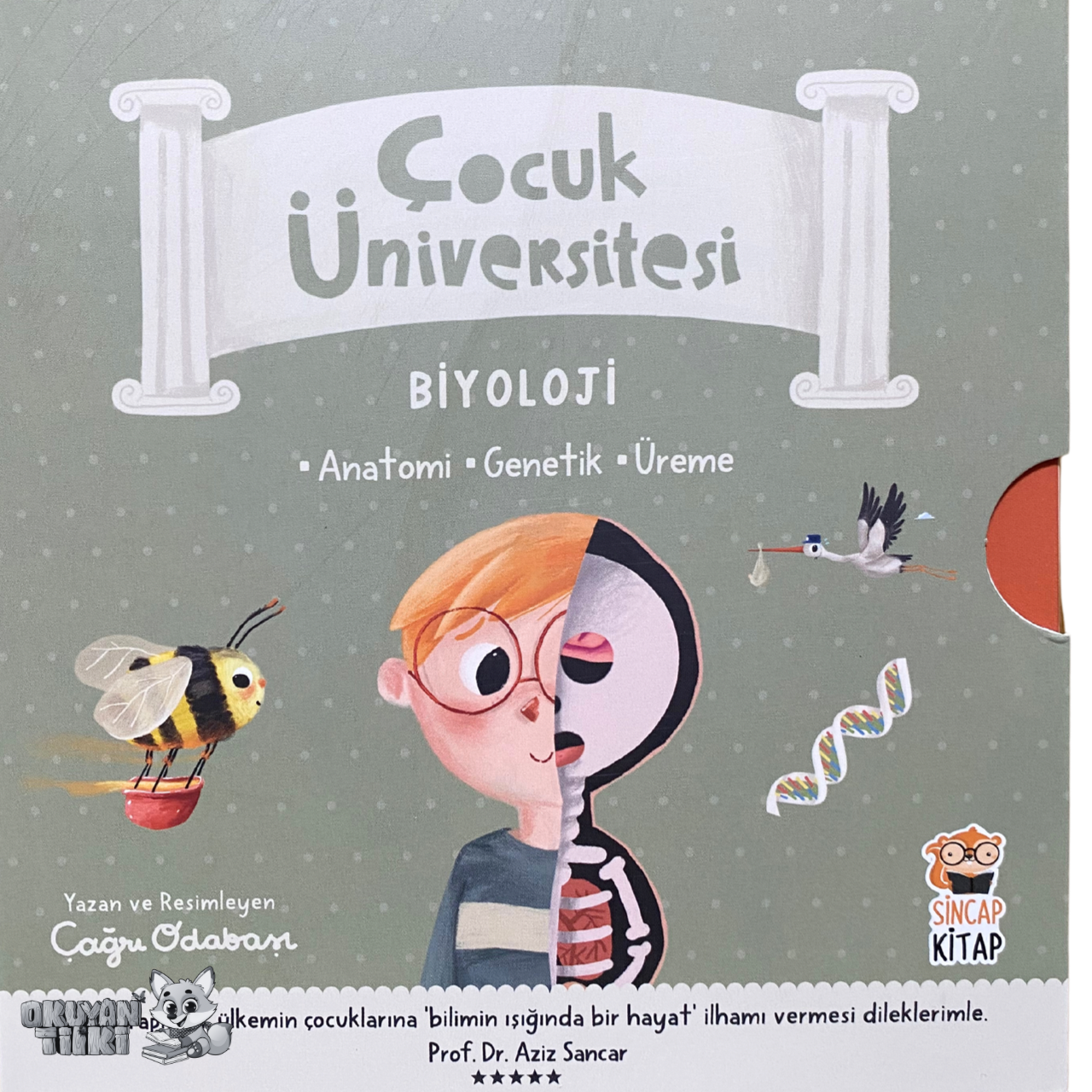 ÇOCUK ÜNİVERSİTESİ - Biyoloji Seti (3 Kitap, 1+ Yaş)