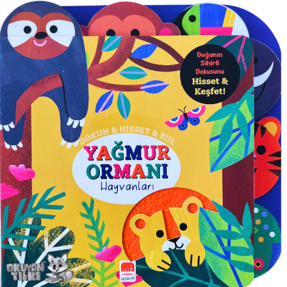 Dokun & Hisset & Bul-Yağmur Ormanı Hayvanları (Fühlbuch, 2+ Yaş)